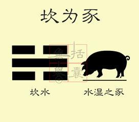 八卦类像 离,揭秘光明与变革的智慧之光