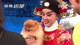 水发胭脂幕后花絮,揭秘水发胭脂幕后精彩瞬间