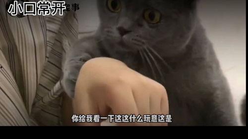 段视频搞笑在线观看,欢乐无限